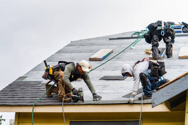 Professional Gutter Installation technician working in Dilworth, MN
